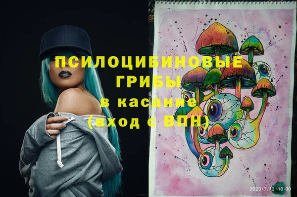 СК Богородицк
