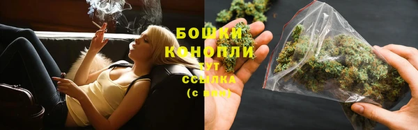 ГАЛЛЮЦИНОГЕННЫЕ ГРИБЫ Богородск