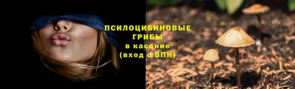 наркотики Бородино