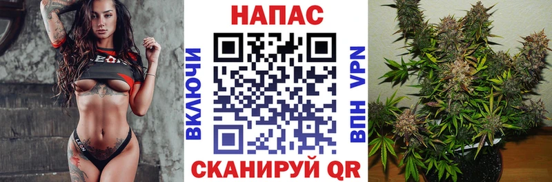 МАРИХУАНА сатива  Вуктыл 